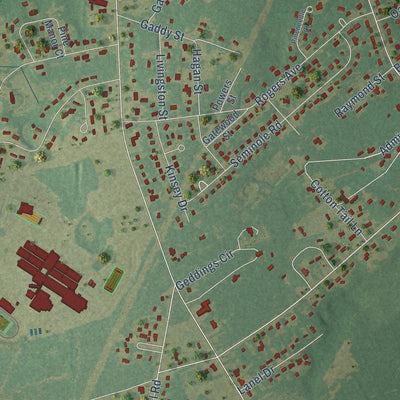 Close-up of the map of Lakewood, South Carolina print showing street and building detail