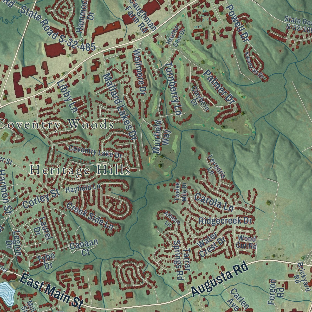 Close-up of the map of Lexington, South Carolina print showing street and building detail