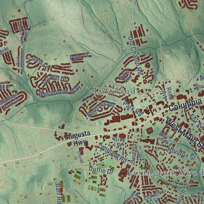 Second close-up of the map of Lexington, South Carolina print showing more streets and buildings
