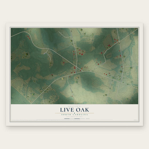 Live Oak, South Carolina map print, the full design