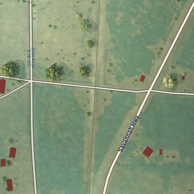 Second close-up of the map of Livingston, South Carolina print showing more streets and buildings