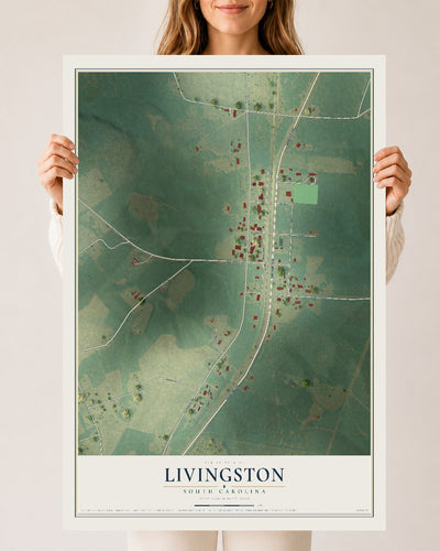 Map of Livingston, South Carolina, 24 x 36 inch unframed archival matte print