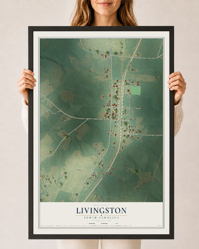 Map of Livingston, South Carolina, 24 x 36 inch print in a black wood frame