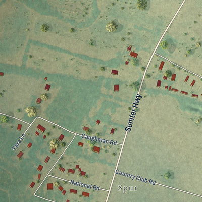 Close-up of the map of Manville, South Carolina print showing street and building detail