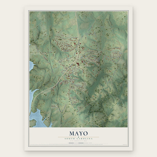 Mayo, South Carolina map print, the full design