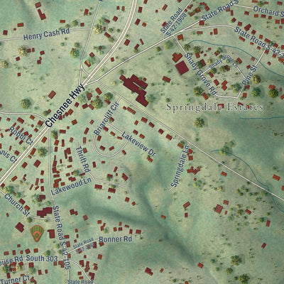 Close-up of the map of Mayo, South Carolina print showing street and building detail