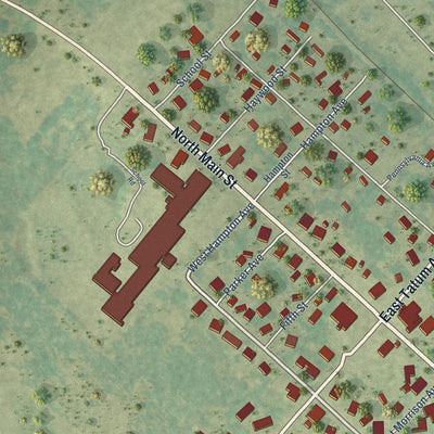 Second close-up of the map of McColl, South Carolina print showing more streets and buildings