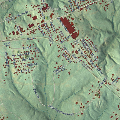 Close-up of the map of Monarch Mill, South Carolina print showing street and building detail