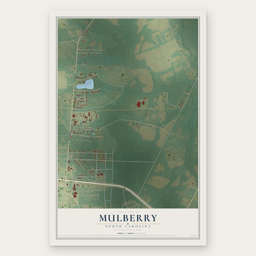 Mulberry, South Carolina map print, the full design