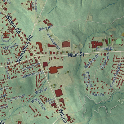 Second close-up of the map of Newberry, South Carolina print showing more streets and buildings