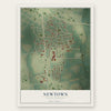 Newtown, South Carolina map print, the full design