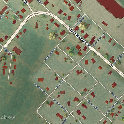 Close-up of the map of Nichols, South Carolina print showing street and building detail