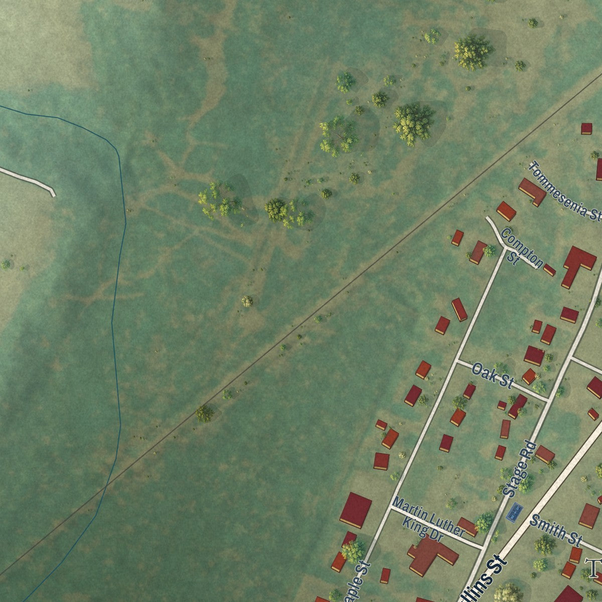 Second close-up of the map of Nichols, South Carolina print showing more streets and buildings