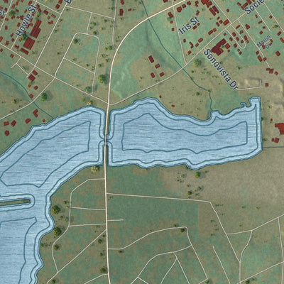 Close-up of the map of North Hartsville, South Carolina print showing street and building detail
