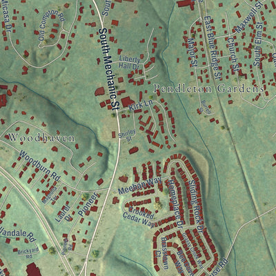 Close-up of the map of Pendleton, South Carolina print showing street and building detail