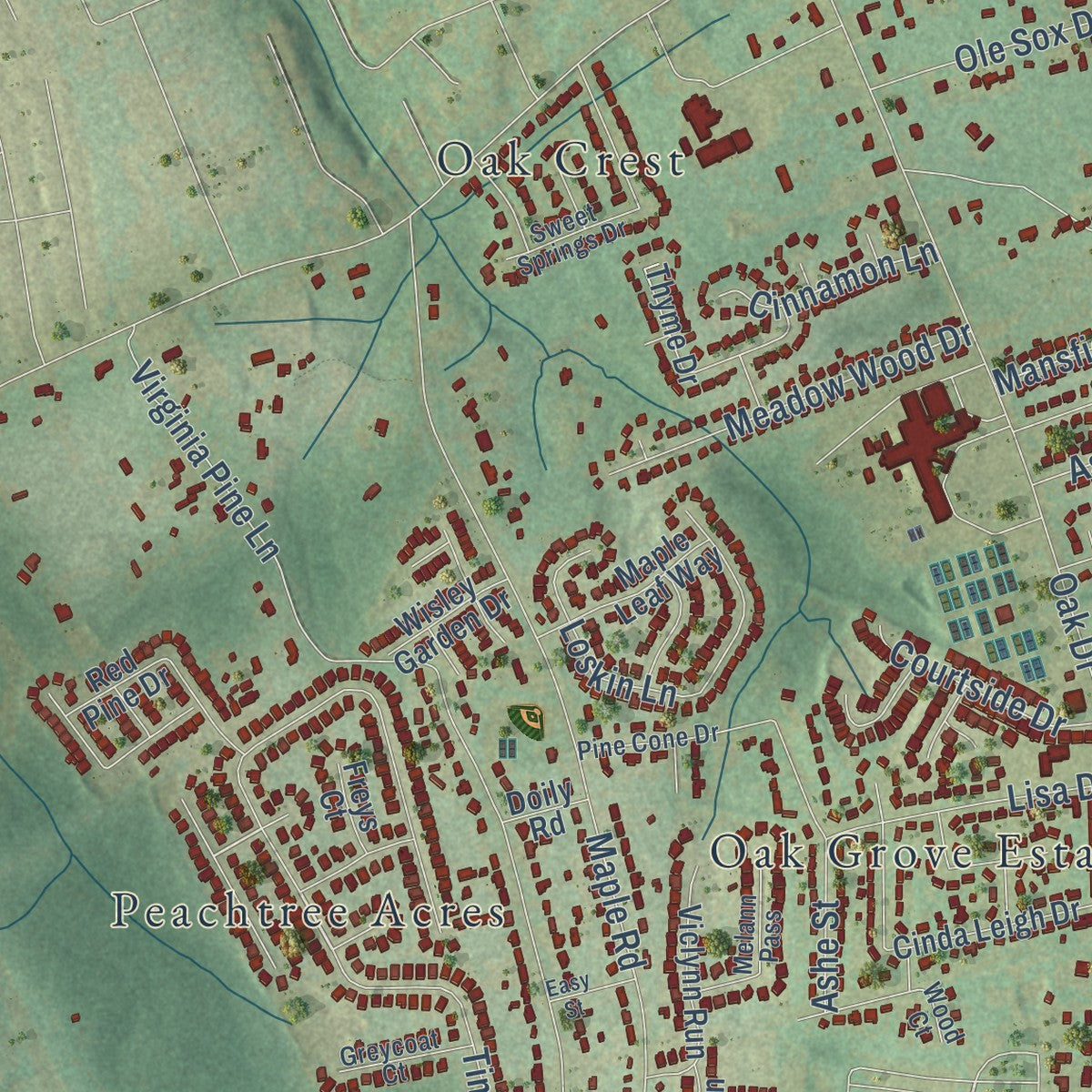Close-up of the map of Oak Grove, South Carolina print showing street and building detail
