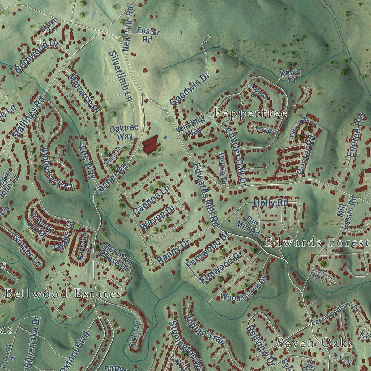 Second close-up of the map of Taylors, South Carolina print showing more streets and buildings