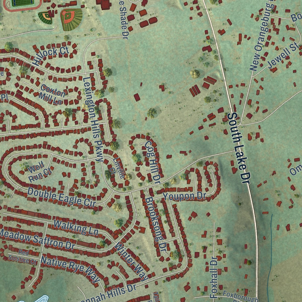 Close-up of the map of White Knoll, South Carolina print showing street and building detail