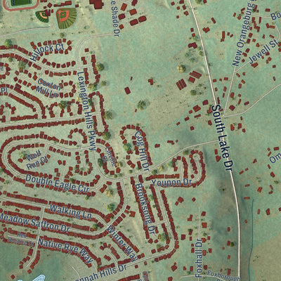 Close-up of the map of White Knoll, South Carolina print showing street and building detail