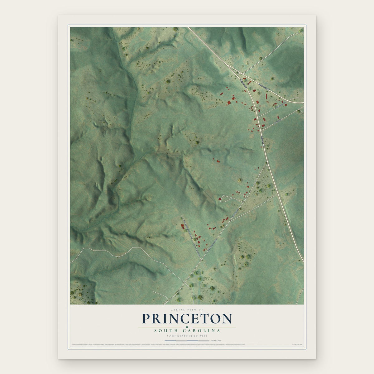 Princeton, South Carolina map print, the full design