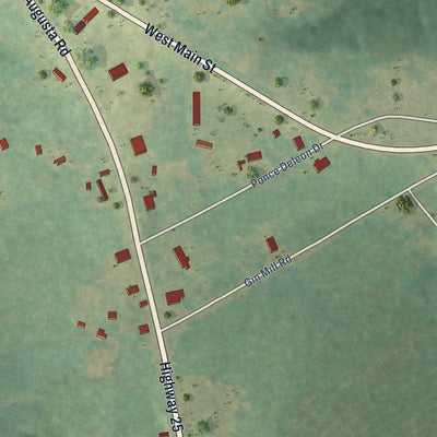 Close-up of the map of Princeton, South Carolina print showing street and building detail