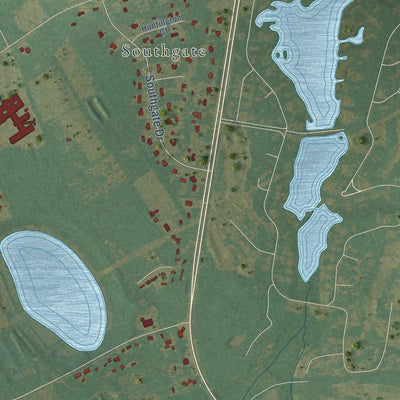 Close-up of the map of Privateer, South Carolina print showing street and building detail