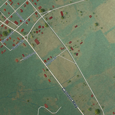 Close-up of the map of Rembert, South Carolina print showing street and building detail