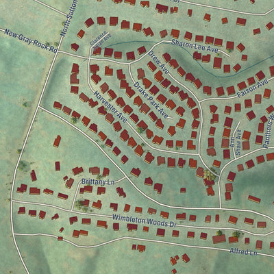 Close-up of the map of Riverview, South Carolina print showing street and building detail