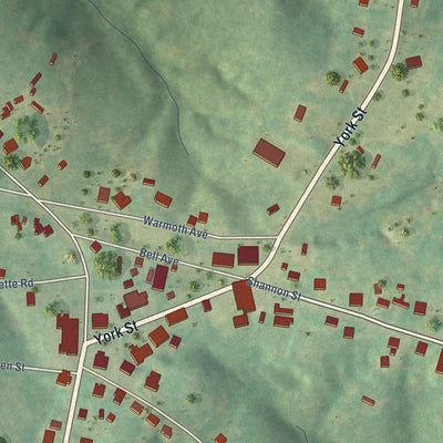 Close-up of the map of Sharon, South Carolina print showing street and building detail