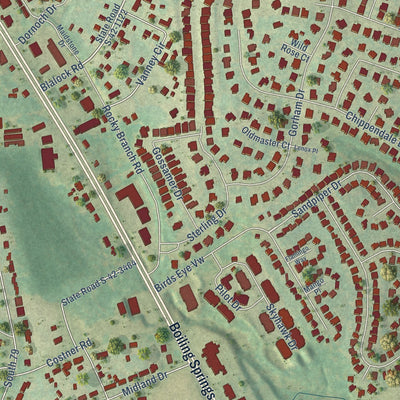 Close-up of the map of Shoally Creek, South Carolina print showing street and building detail