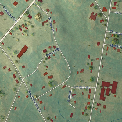 Close-up of the map of Society Hill, South Carolina print showing street and building detail