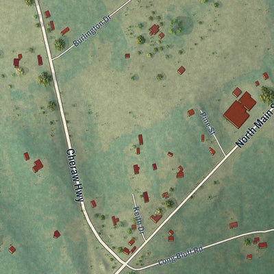 Second close-up of the map of Society Hill, South Carolina print showing more streets and buildings