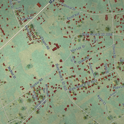 Close-up of the map of South Congaree, South Carolina print showing street and building detail
