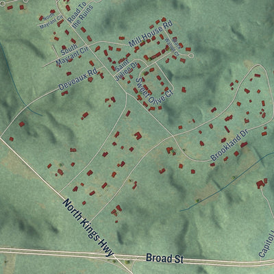 Close-up of the map of Stateburg, South Carolina print showing street and building detail