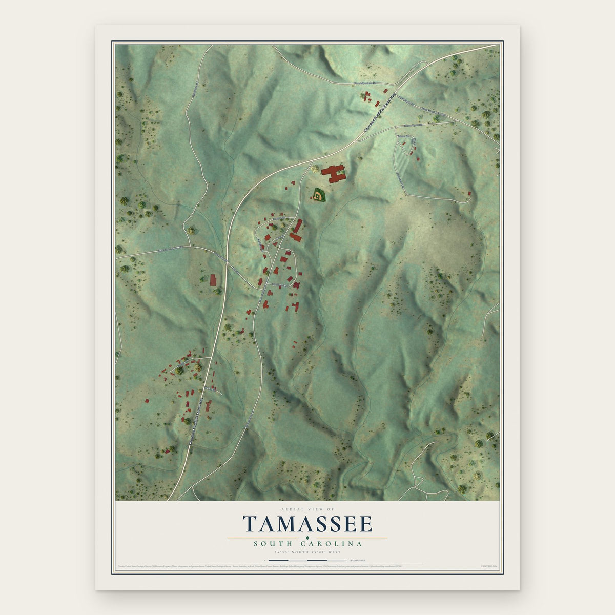 Tamassee, South Carolina map print, the full design