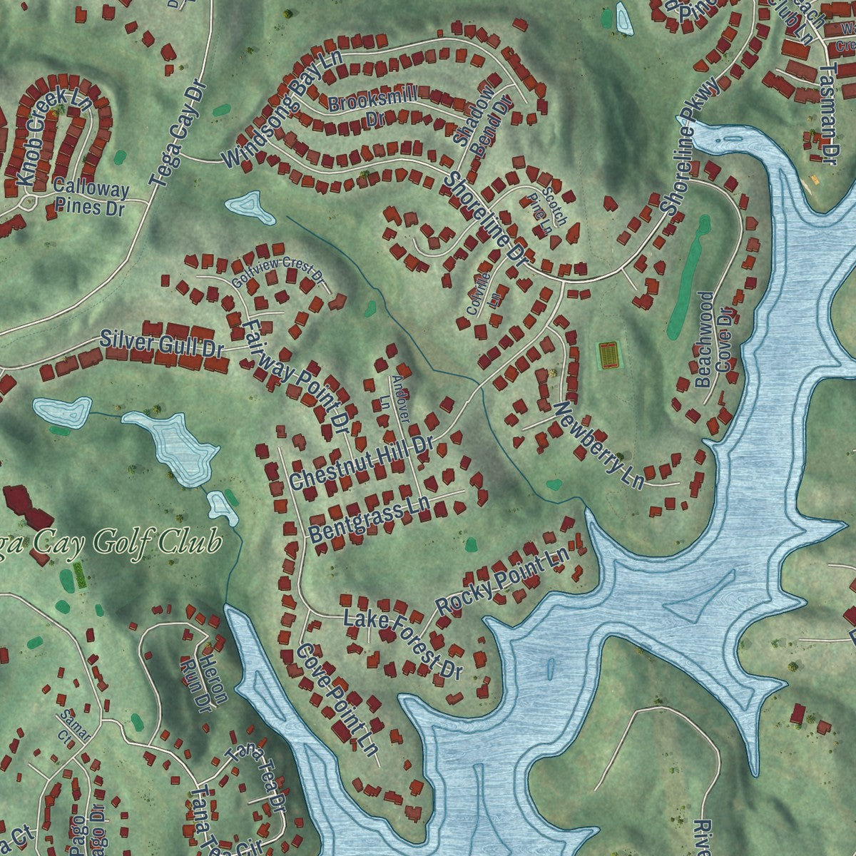 Close-up of the map of Tega Cay, South Carolina print showing street and building detail