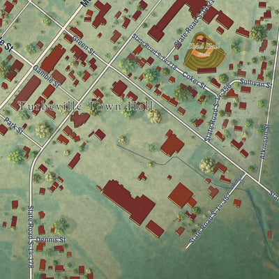 Close-up of the map of Turbeville, South Carolina print showing street and building detail