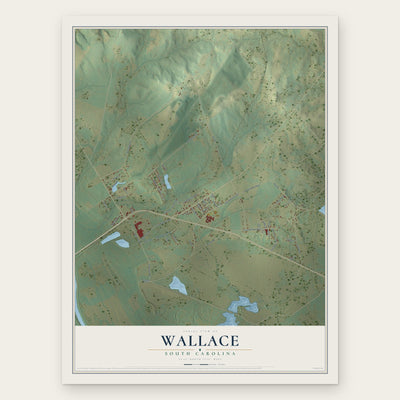 Wallace, South Carolina map print, the full design