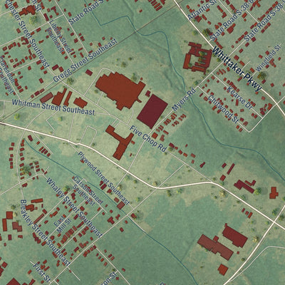 Close-up of the map of Wilkinson Heights, South Carolina print showing street and building detail