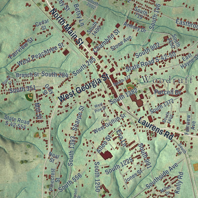 Close-up of the map of Woodruff, South Carolina print showing street and building detail