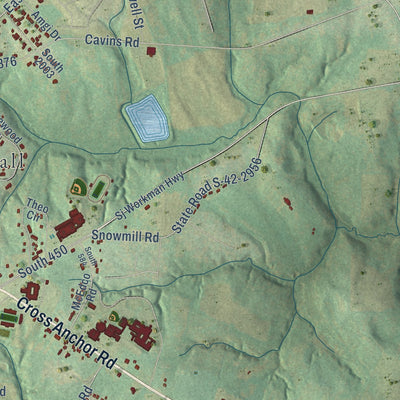 Second close-up of the map of Woodruff, South Carolina print showing more streets and buildings