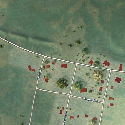 Close-up of the map of Altamont, South Dakota print showing street and building detail