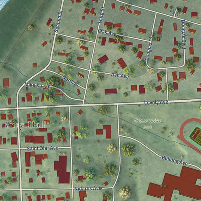Close-up of the map of Baltic, South Dakota print showing street and building detail