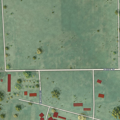 Second close-up of the map of Bonesteel, South Dakota print showing more streets and buildings