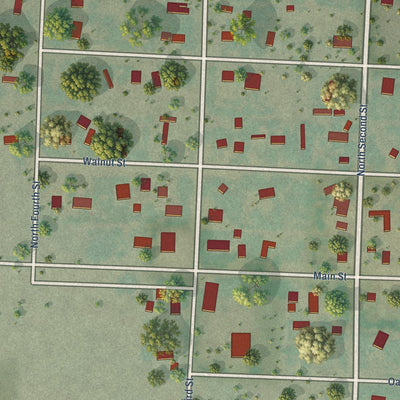 Close-up of the map of Buffalo Gap, South Dakota print showing street and building detail