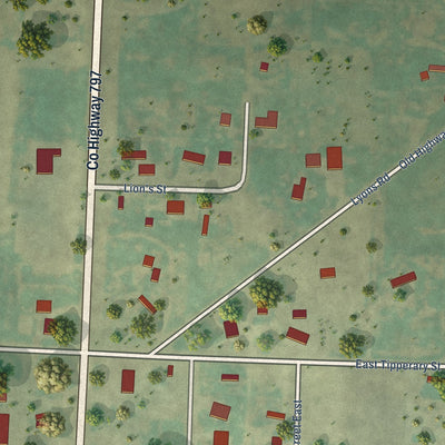 Second close-up of the map of Buffalo, South Dakota print showing more streets and buildings