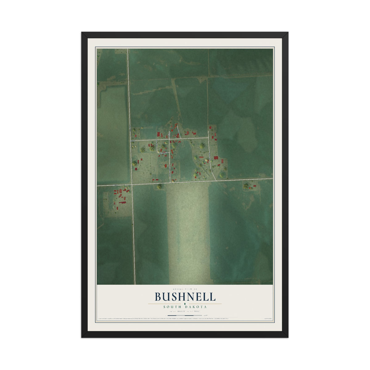 Map of Bushnell, South Dakota, 12 x 18 inch print in a black wood frame