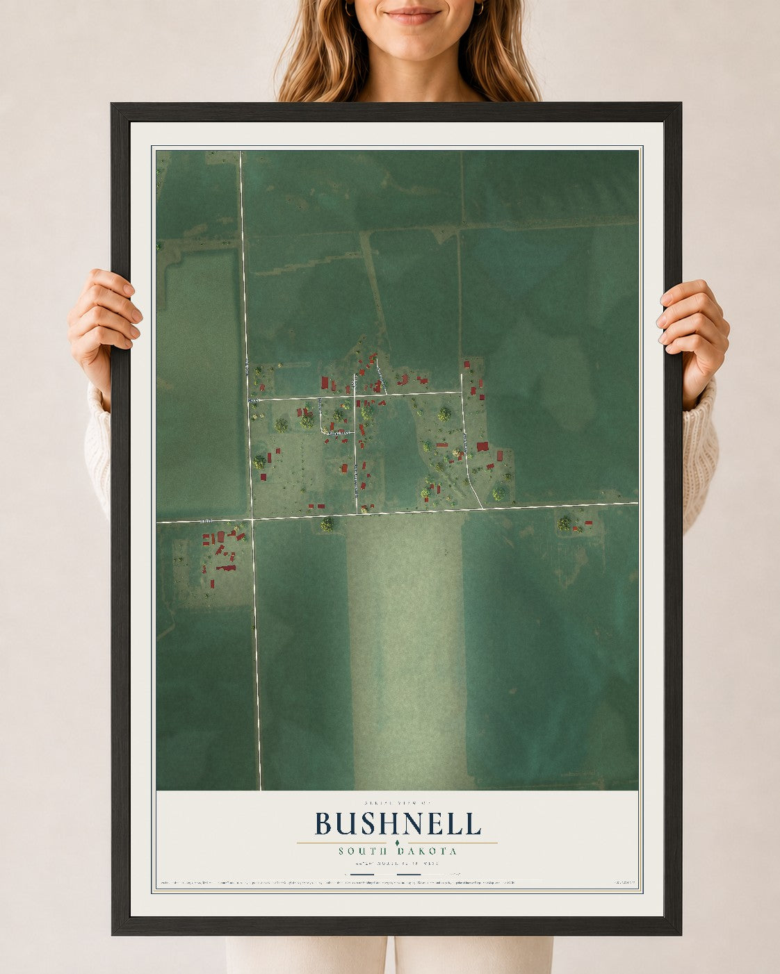 Map of Bushnell, South Dakota, 24 x 36 inch print in a black wood frame