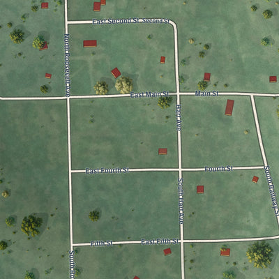 Close-up of the map of Butler, South Dakota print showing street and building detail