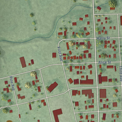 Close-up of the map of Castlewood, South Dakota print showing street and building detail